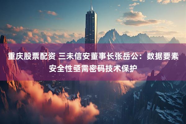 重庆股票配资 三未信安董事长张岳公：数据要素安全性亟需密码技术保护
