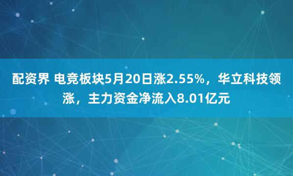 配资界 电竞板块5月20日涨2.55%，华立科技领涨，主力资金净流入8.01亿元