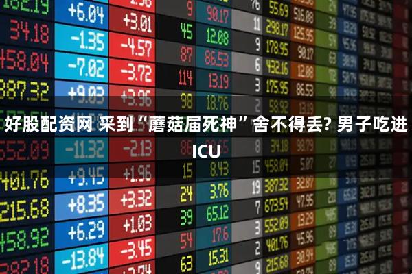 好股配资网 采到“蘑菇届死神”舍不得丢? 男子吃进ICU